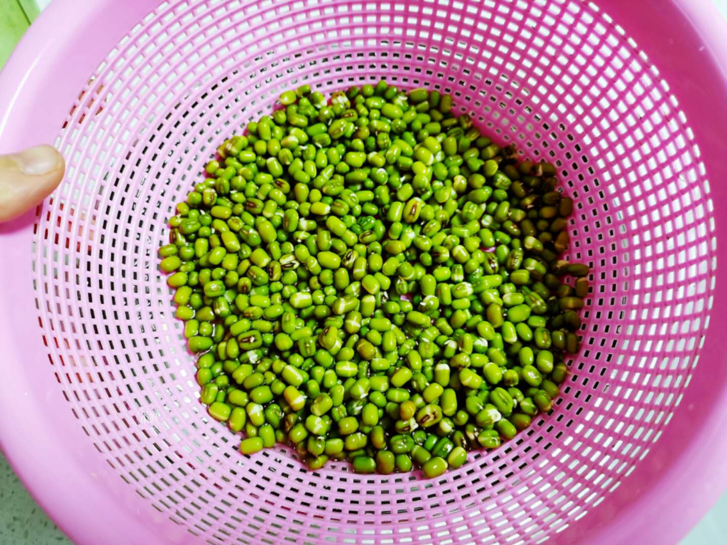 发豆芽原始的简单方法,发豆芽的方法简单又好