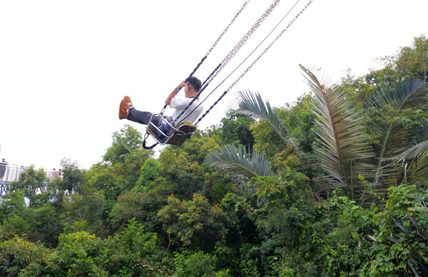 海南呀诺达热带雨林文化旅,三亚诺达雨林旅游攻略