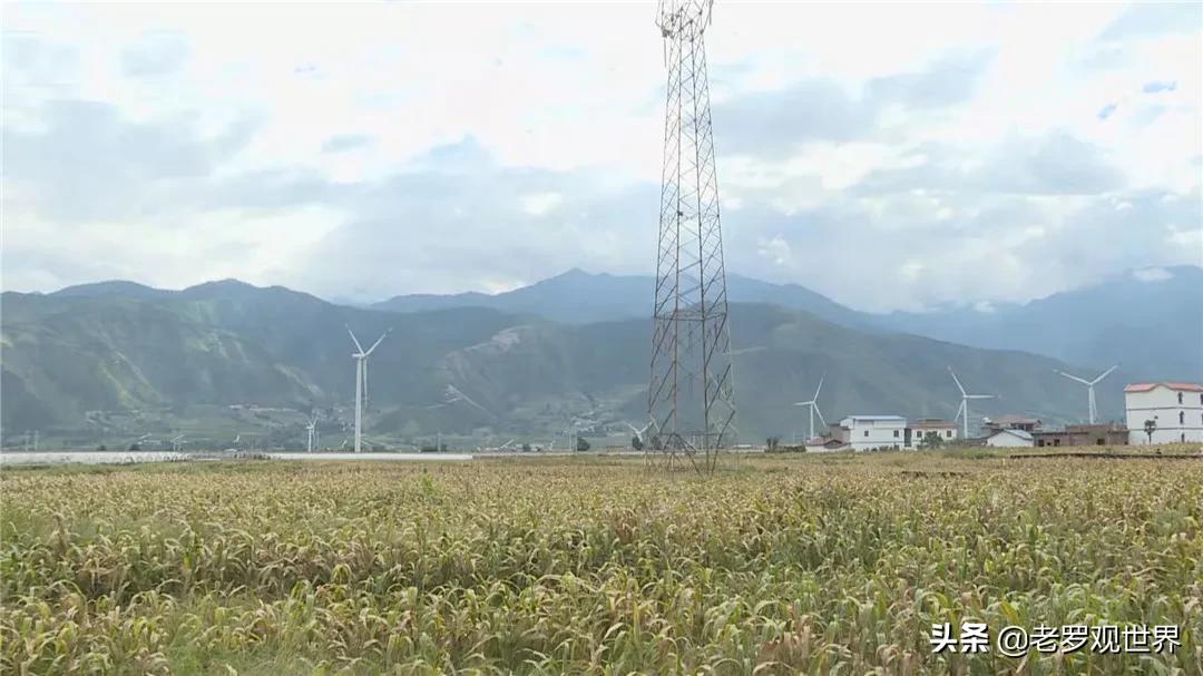 秸秆变废为宝促增收,我为群众办实事捡垃圾美篇