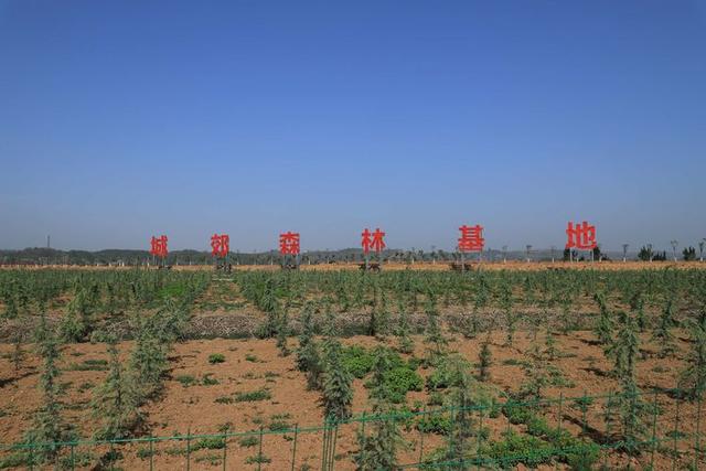 浠ユ按娑﹀煄,娑﹀煄娌抽亾娌荤悊宸ョ▼
