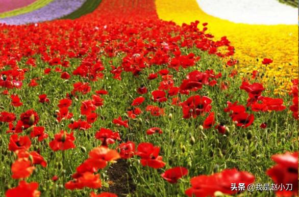 重度色弱戴色弱眼镜有效果吗,色弱眼睛矫正能恢复正常吗