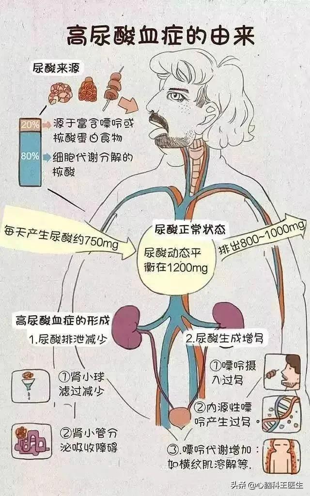 尿酸高降压药,尿酸高血压高吃什么降压药