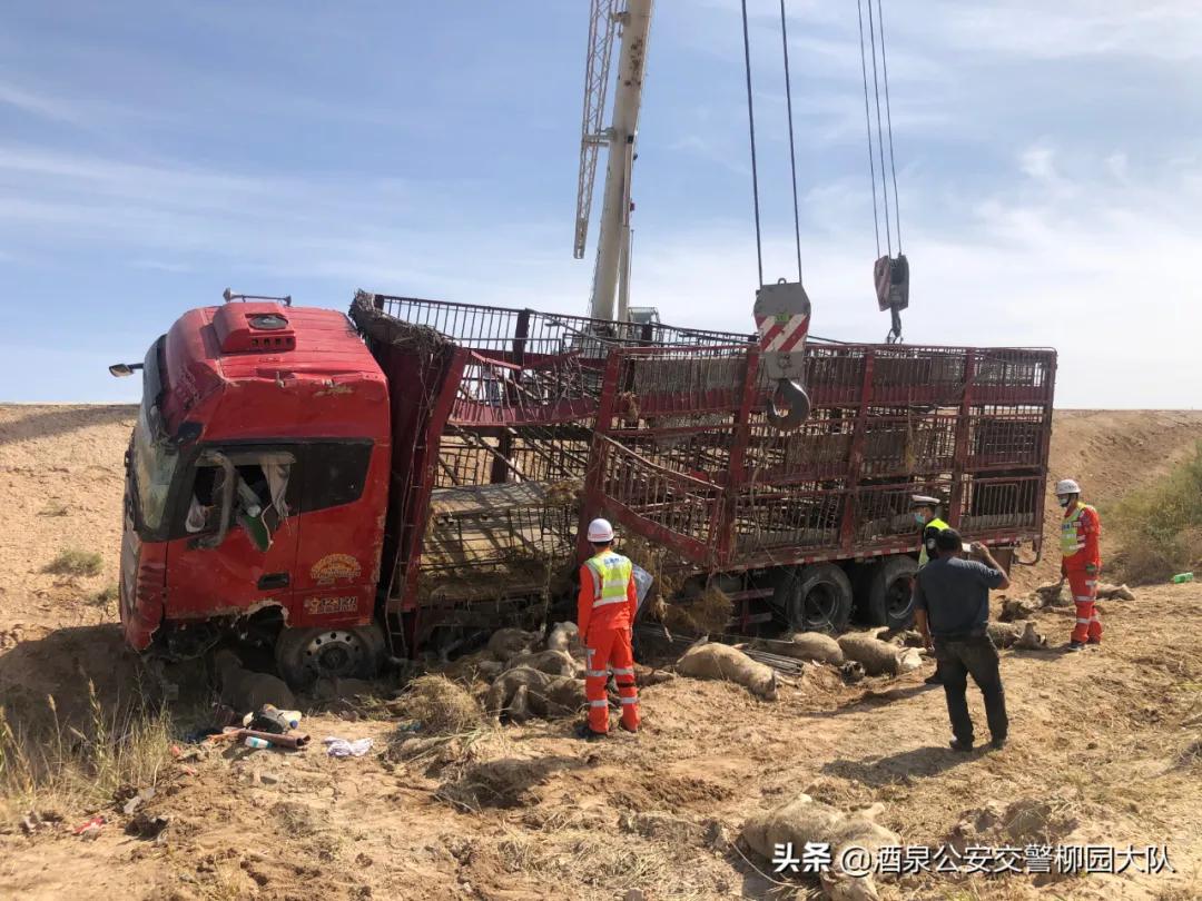 我为群众办实事公安视频开场素材,为群众办实事公安暖心为民