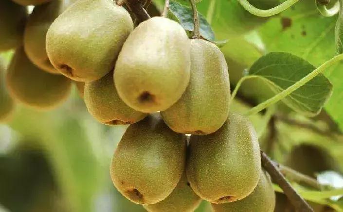 农村人居环境整治|从“三无”变“宜居”看杨凌这个村是怎样炼成的?