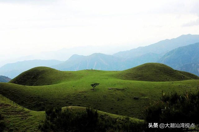 广东最美8个大草原,广东十大草原旅游地