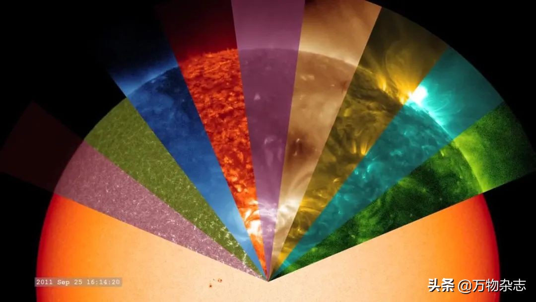 百万美金买的千年古籍实际才刚成年？现代打假技术太给力了