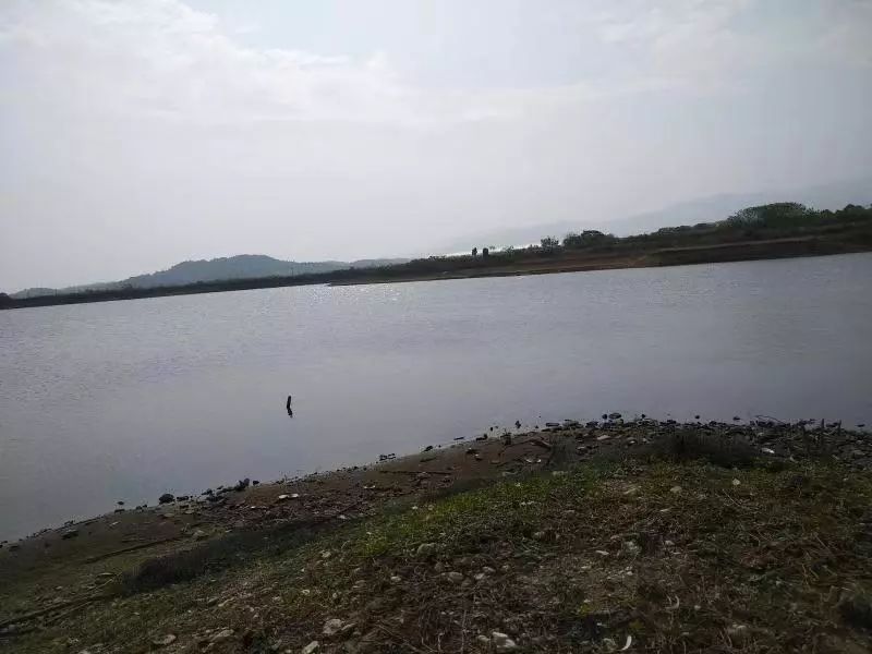 武汉黄陂走出的巡抚姚缔虞之民生情结