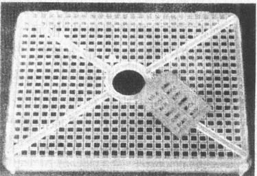 养蜜蜂收集蜜,蜜蜂怎么养出蜂王