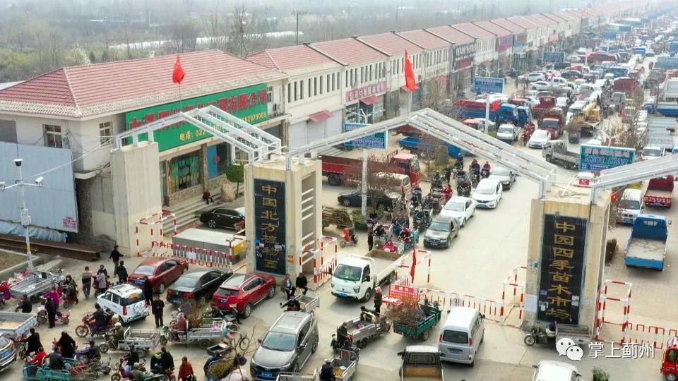 110000000元！邦均苗木基地~飒！