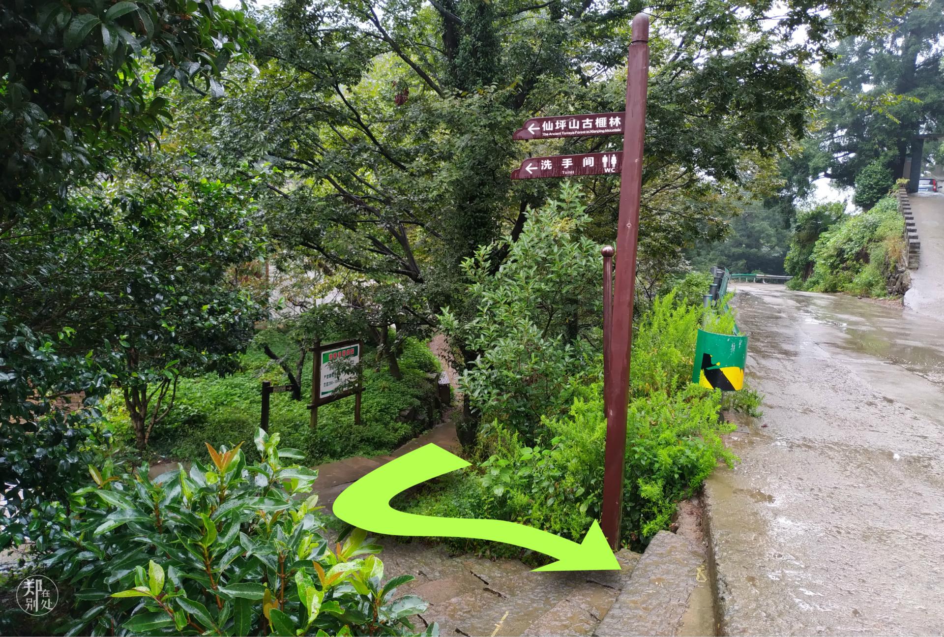 香榧古道,香榧古道徒步路线哪条景色美