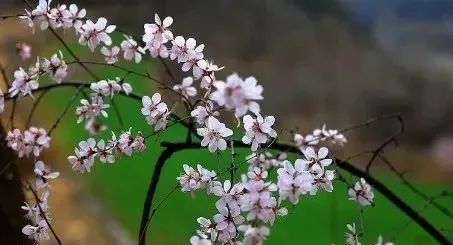 晋城司徒小镇异域风情,晋城皇城相府和司徒小镇