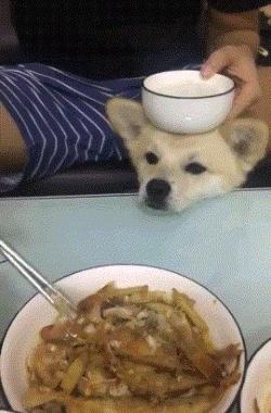 2021人间值得,2019人间值得