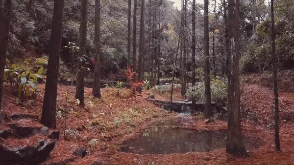 裸心谷一日游门票,裸心堡特价预定