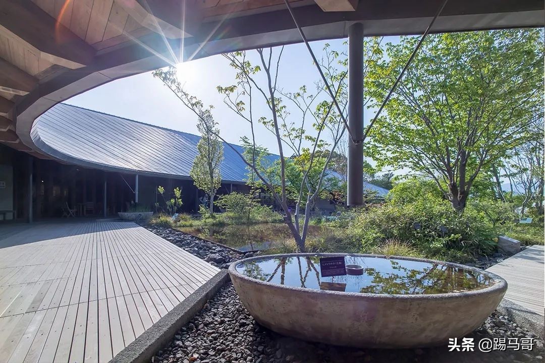 appletv出品的电影,appletv出品