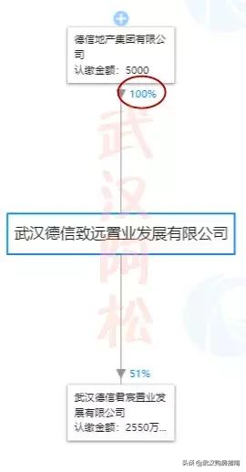 纯新盘入市带来购房良机,前有来者后一句是什么