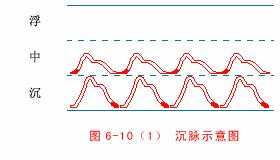 中医把脉入门必背口诀翻译,把脉入门必背口诀粤语版