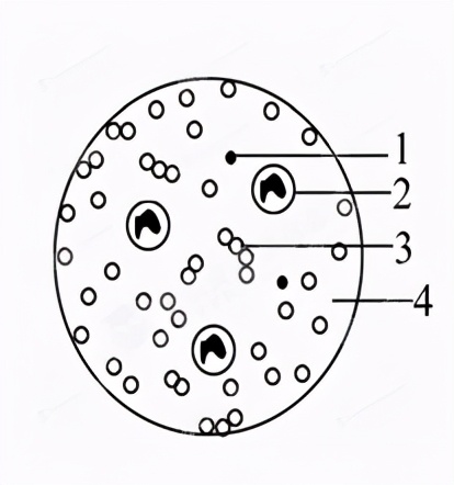 临沂罗庄七下生物期中试卷,临沂七下生物期中试卷