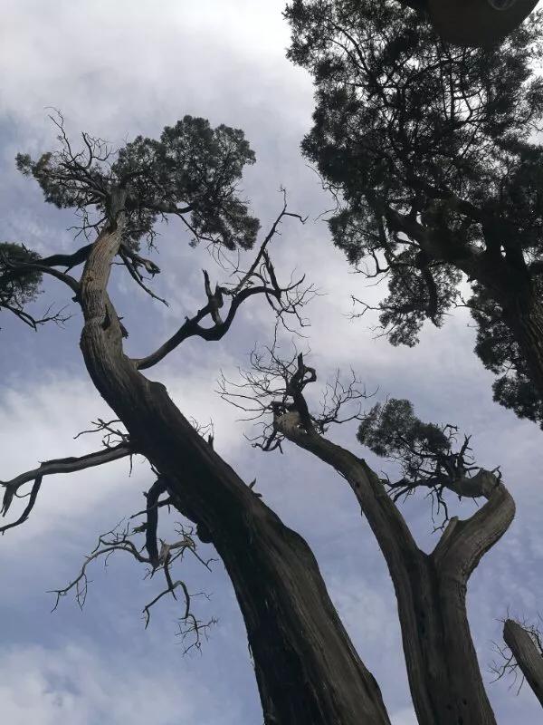 手拍世界摄影网,手拍世界完整版视频