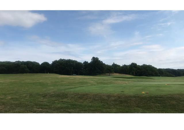 探访华盛顿动物园,波士顿公园周边游