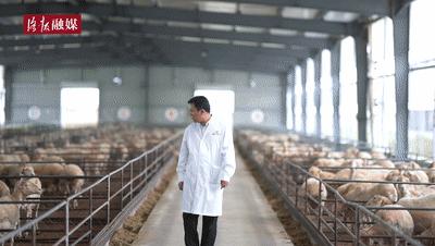 打工仔当上年薪百万公司老总,打工仔当上老板化身百万富翁