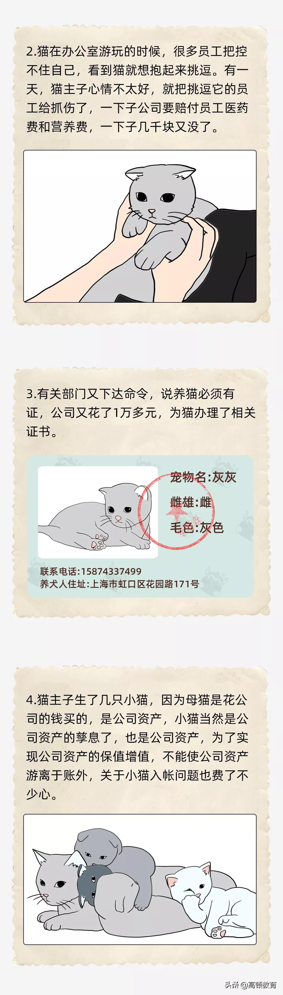 公司养了一只猫怎么记账,公司买的猫怎么入账