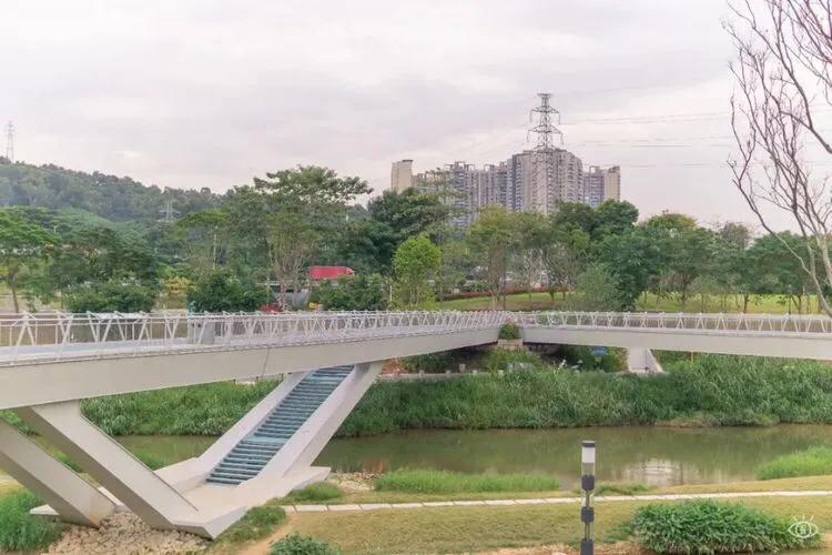 深圳免费公园适合儿童,深圳免费公园哪里最好啊