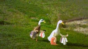 图大明白|404错误为什么是NotFound?为什么是404?