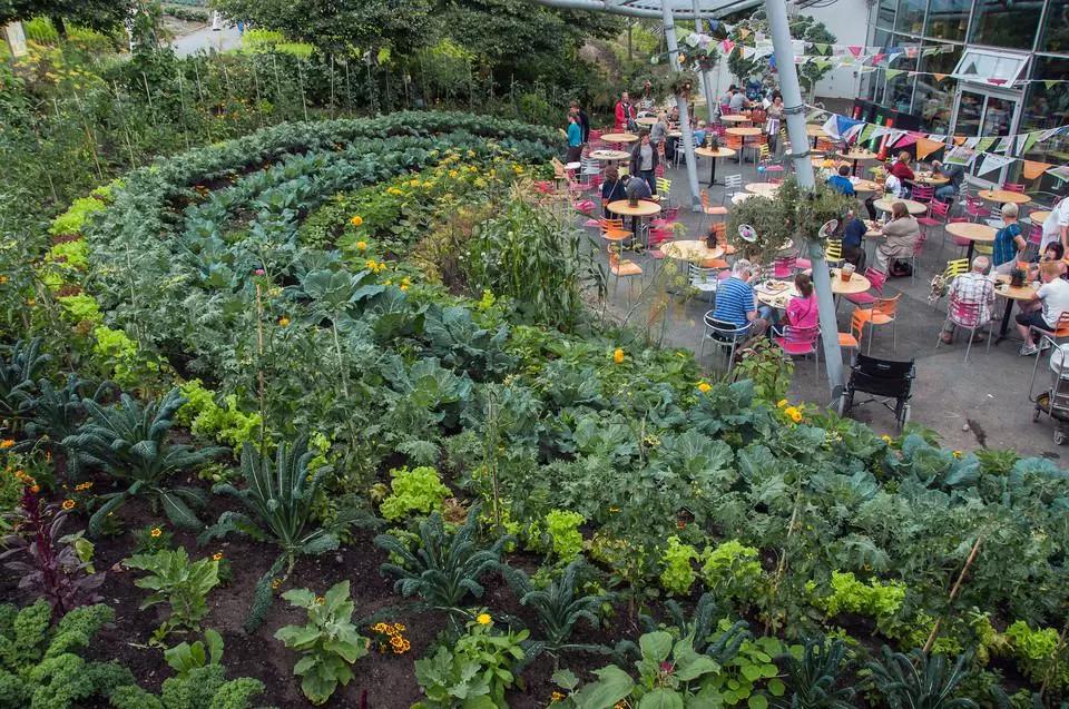 世界第八大奇迹：废矿变身伊甸园，年游客超两百万