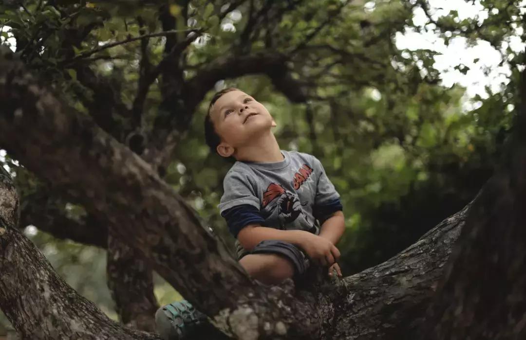 养男孩，6岁后为什么妈妈要“退位”？