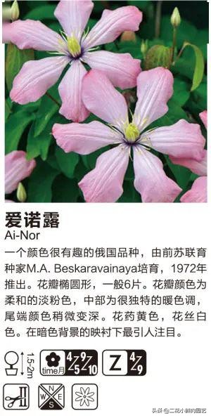 鍥壓鑺卞崏绉嶆鐭ヨ瘑鍏ラ棬,鑺卞崏鍥壓濡備綍鍏ラ棬