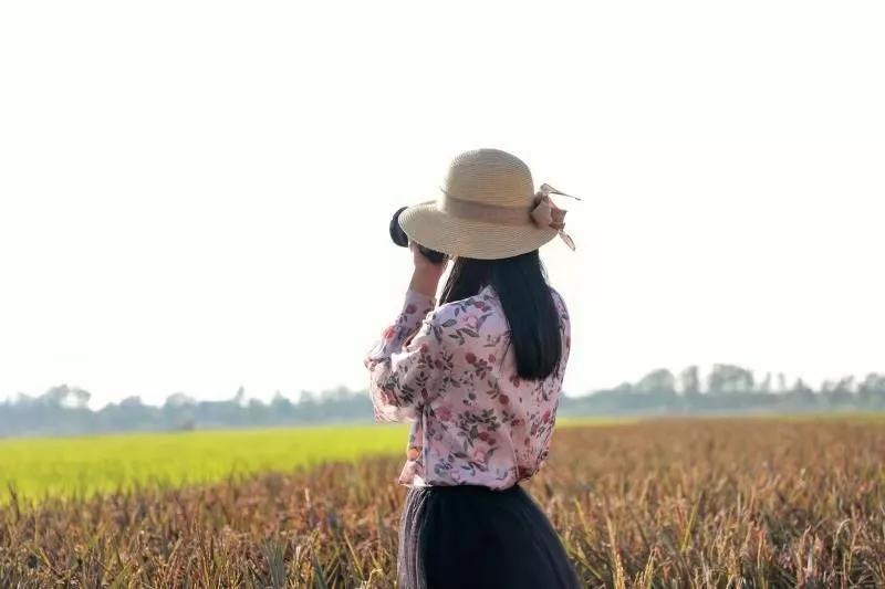 2020美到窒息！珠海的冬天，美炸了