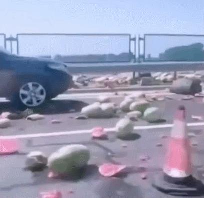 被偷*拍偷**下的20组画面：2019一整年的温暖，全都在这里了