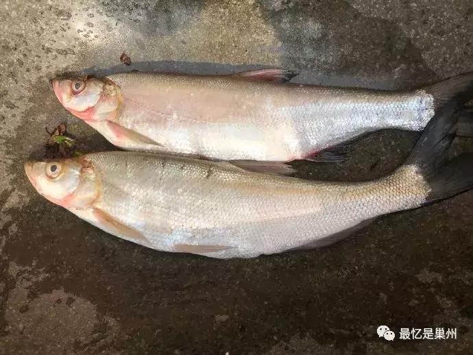 黄麓最近哪里好玩,黄麓镇地理位置