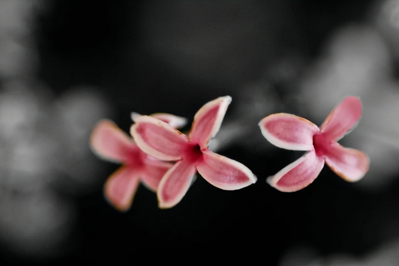 别着急属于你的东西早晚会来,属于你的缘分终究会到来