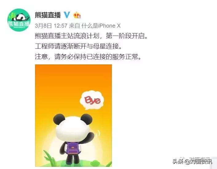 熊猫直播破产原因,熊猫直播破产原因分析