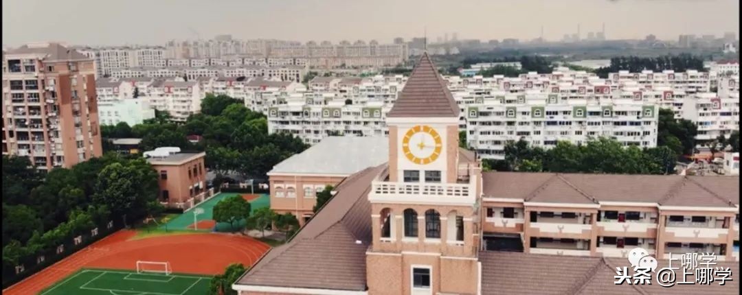 沪10大“美哭了”的公办小学,环境设施赶超民办!第一所就膜拜!