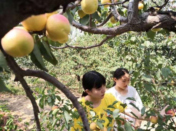 一大波美图即将来袭,一组美照来袭