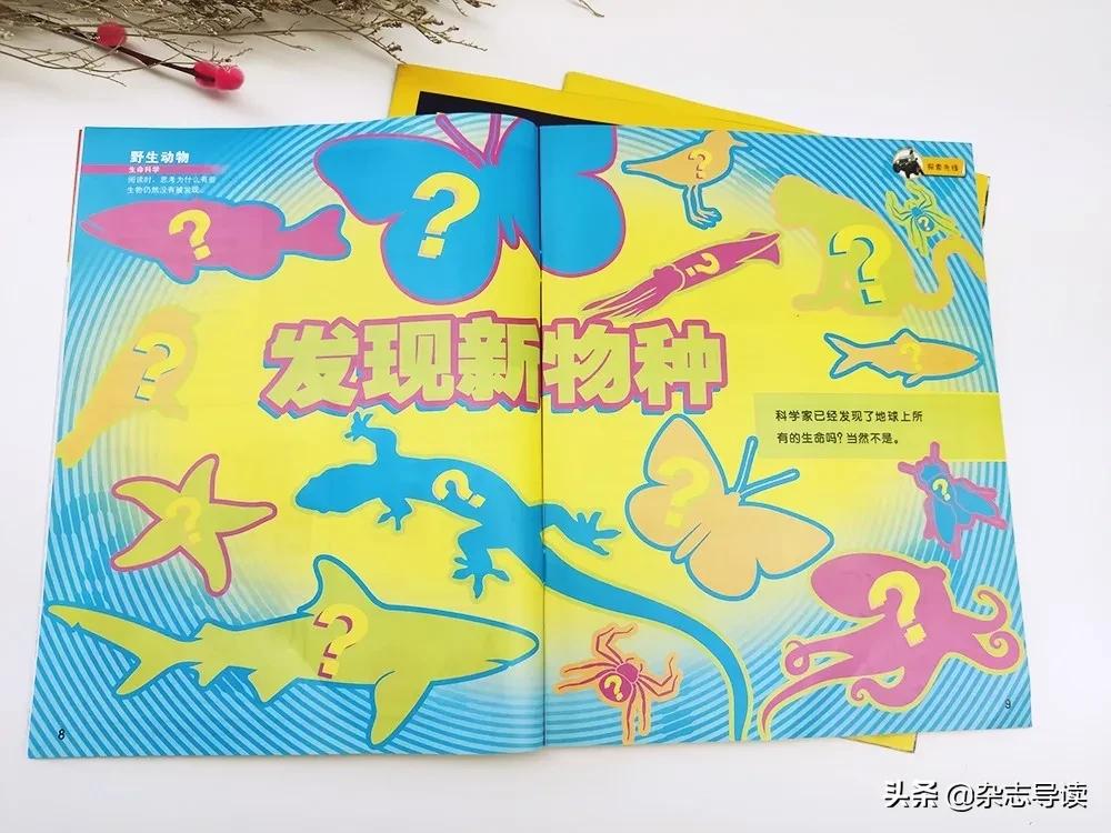 孩子必读的科普读物,哪些适合小学生看的科普杂志
