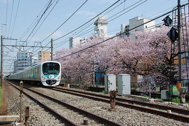 第一次去日本语言不通怎么办,第一次去日本旅行语言不通
