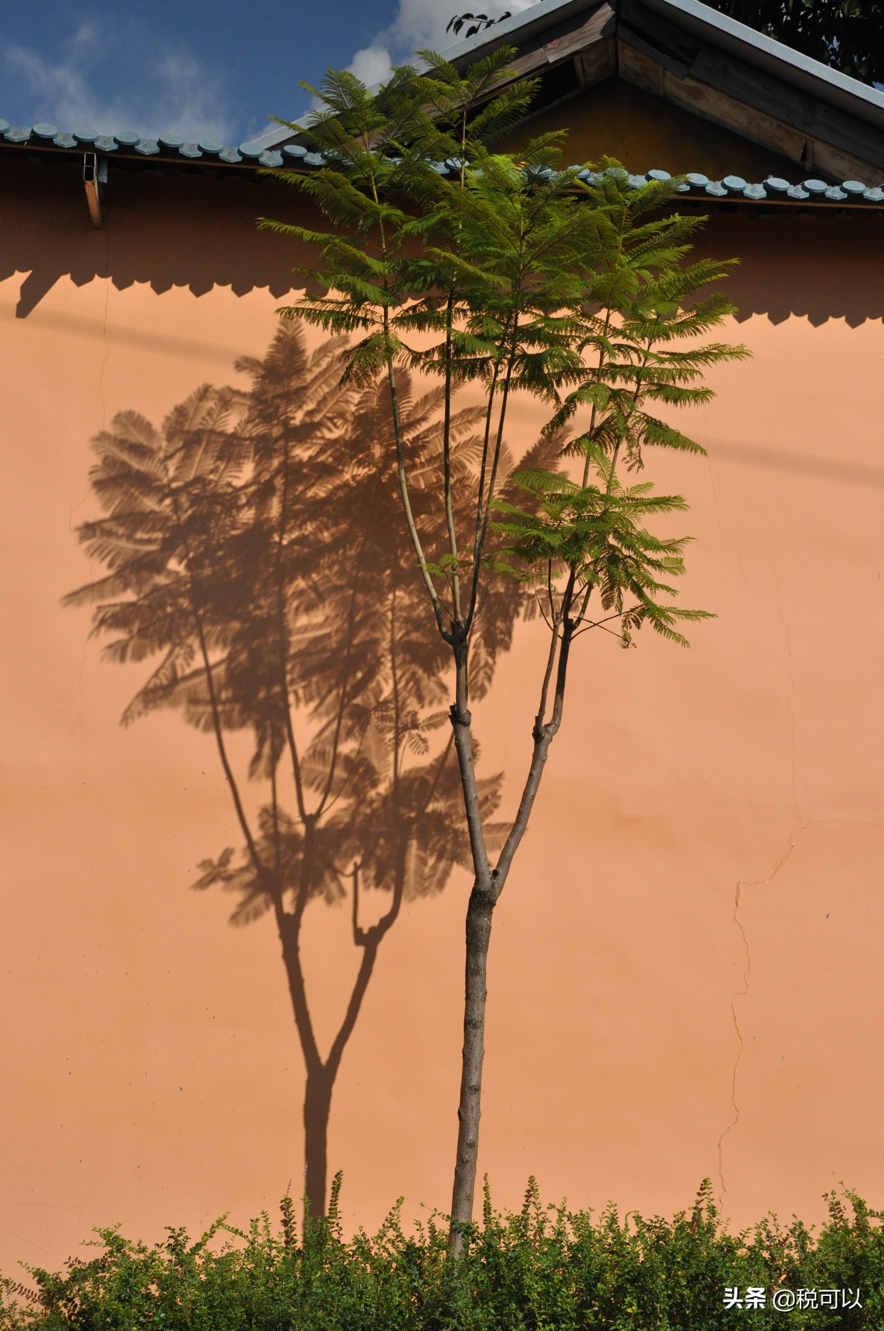 西昌灵鹰寺在哪里,邛海边上的灵鹰寺