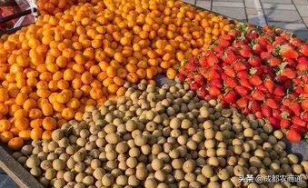 水果行业应该怎么做,怎么样才能把水果行业做大做强