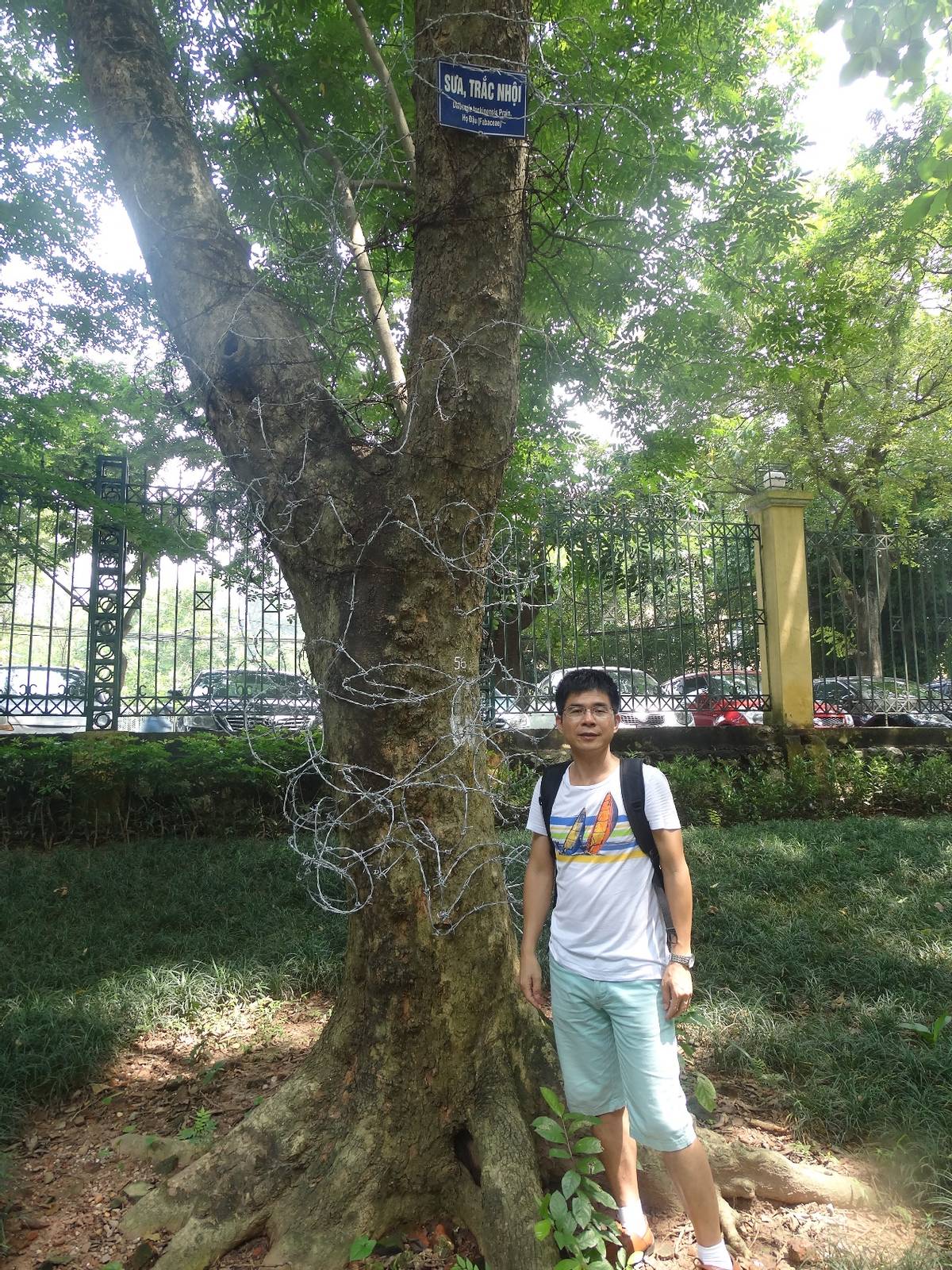 红木文化课程受追捧50多所大学在线选修众人自发在线学习