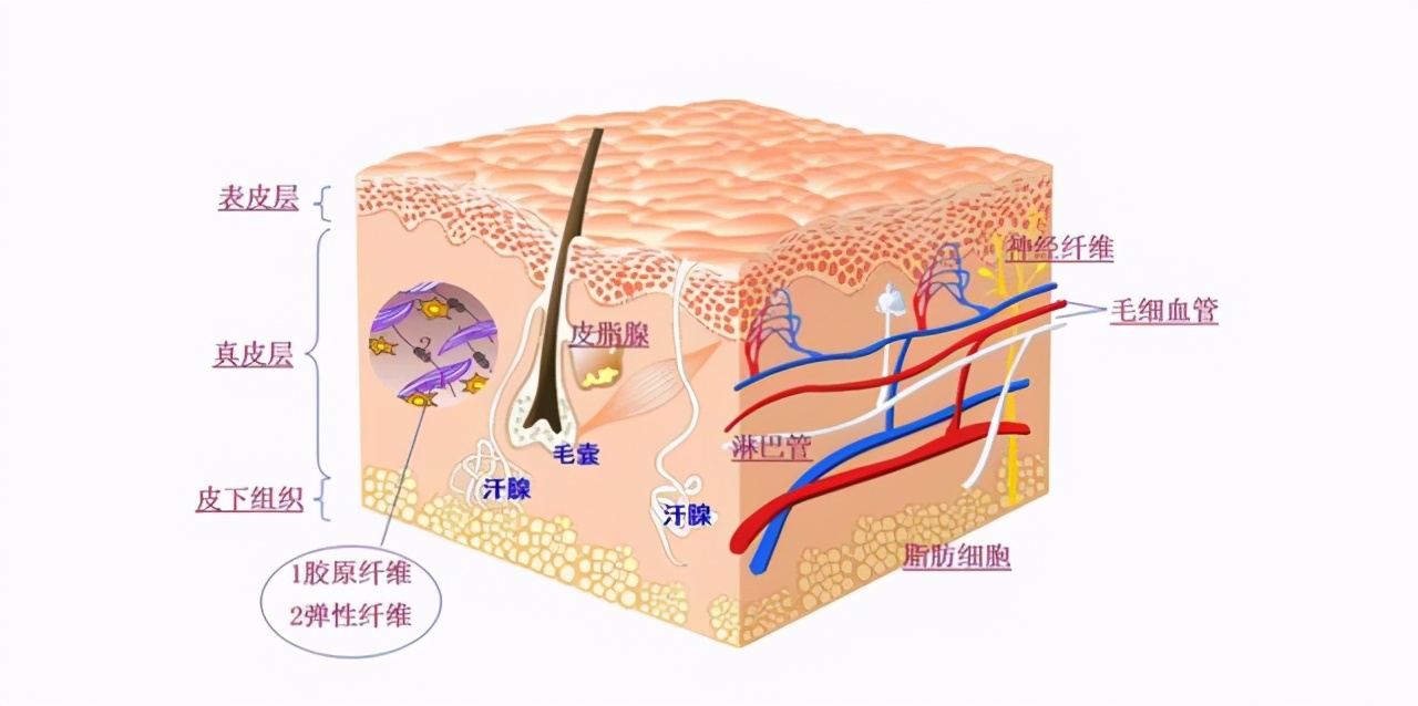面膜敷多长时间才是正确的,面膜多久敷一次对皮肤好