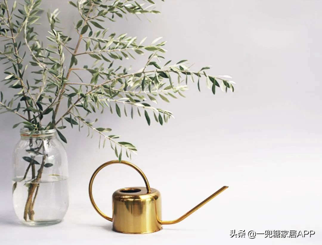 春天花会开|这20家植物淘宝店，植物杀手看了也想买！