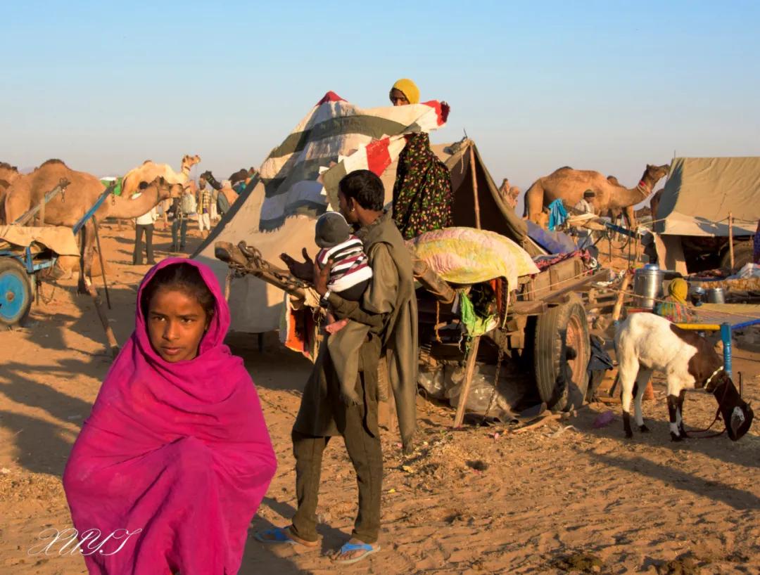 津门网徐屹：印度骆驼节上的人们（上）
