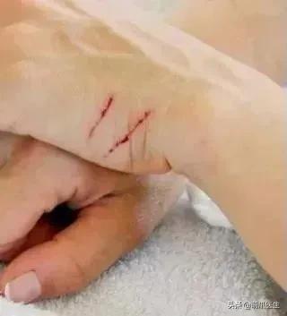 打猫可以纠正猫的坏行为吗,猫犯错了可以关起来吗