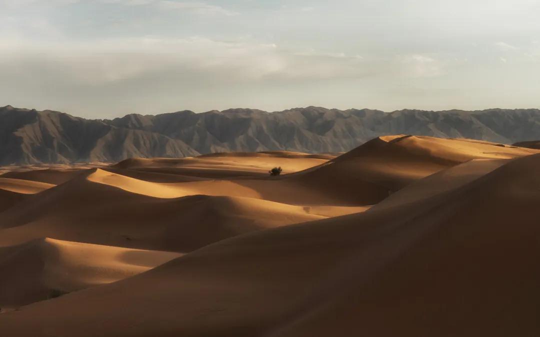 中卫最便宜酒店,中卫特价酒店