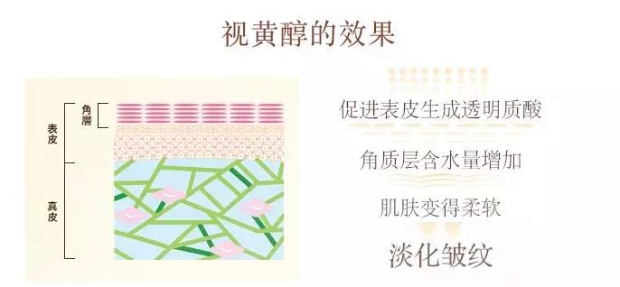 在日本销量第一品牌,资生堂口碑最好的4款