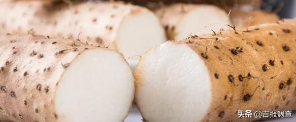 山药小人参,小人参和山药