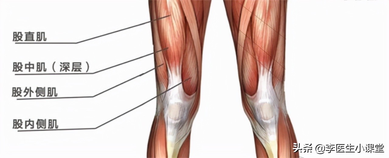 老年人膝盖下蹲和起立疼痛,老年人下楼梯膝盖疼怎么回事
